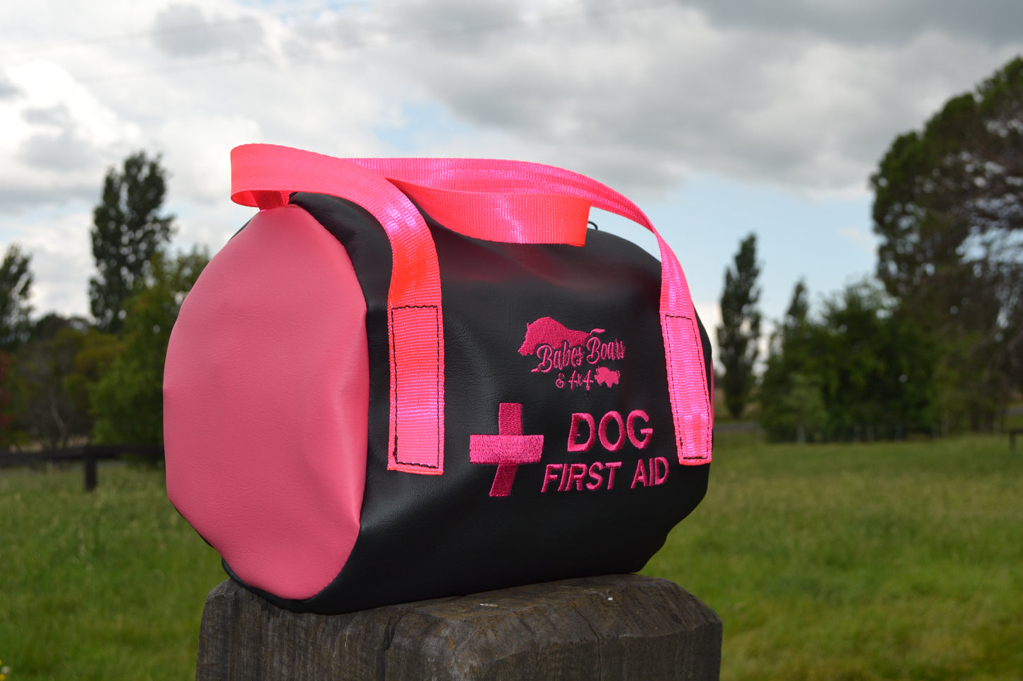 BB4X4 Dog Medical Kit